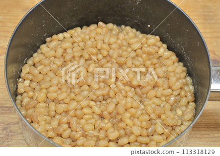 白豆 白豆 113318129