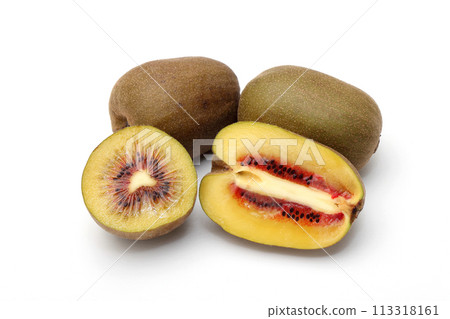 紅獼猴桃 113318161