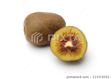 紅獼猴桃 113318165