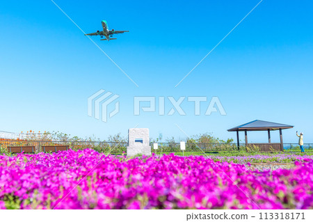 越過苔蘚福祿考看到的飛機，富士山靜岡機場 113318171