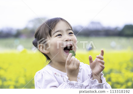 Girls playing in rape fields Girls playing in rape fields 113318192
