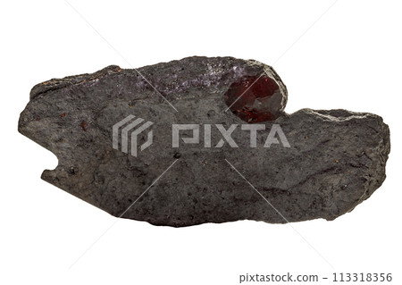 Macro mineral stone Garnet in rock on a white background 113318356