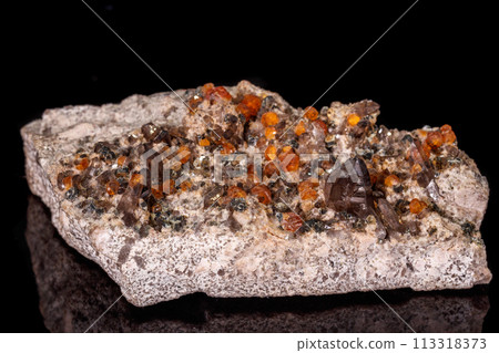 macro mineral stone Grossular, Garnet, Epidote on a black background 113318373