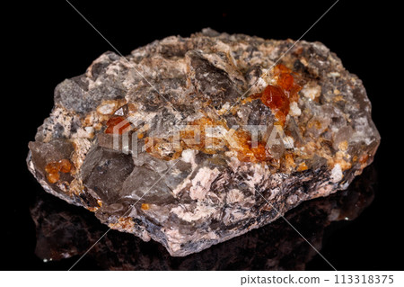 macro mineral stone Grossular, Garnet, Epidote on a black background 113318375