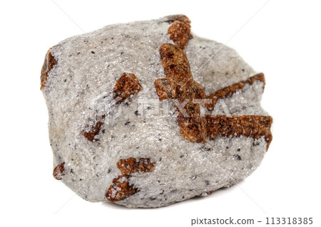macro mineral stone Staurolite on a white background 113318385