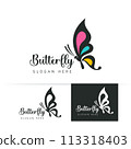 Stylized image of butterfly logo template isolate Vector illustration 113318403