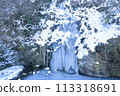 Aso Koga Falls 113318691
