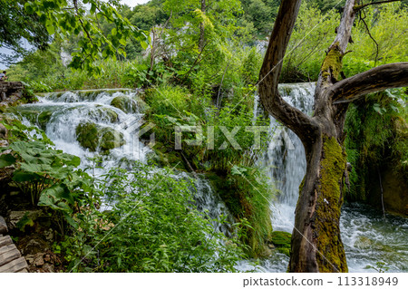 Plitvice Lakes, Croatia. Natural Waterfalls. Plitvice Lakes National Park, Croatia 113318949