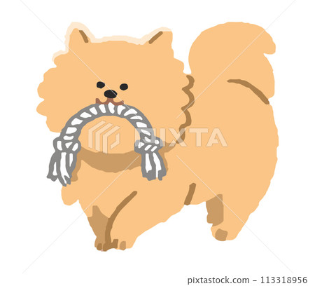 狗狗咀嚼繩子玩具 113318956