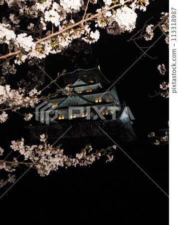 大阪城堡城堡塔和夜櫻花 大阪城堡城堡塔和夜櫻花 113318987
