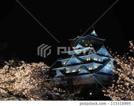 大阪城堡城堡塔和夜櫻花 大阪城堡城堡塔和夜櫻花 113318995