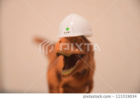 Tyrannosaurus (Safety First) Tyrannosaurus (Safety First) 113319034