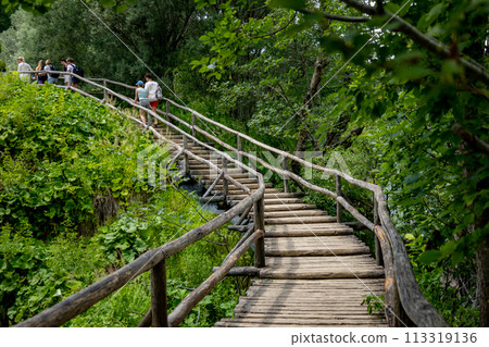 Plitvice Lakes, Croatia. Footpath for hiking. Plitvice Lakes National Park, Croatia Plitvice Lakes, Croatia. Footpath for hiking. Plitvice Lakes National Park, Croatia 113319136