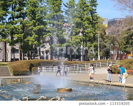 Music fountain 113319205