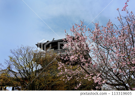 池田城和櫻花 池田城和櫻花 113319605