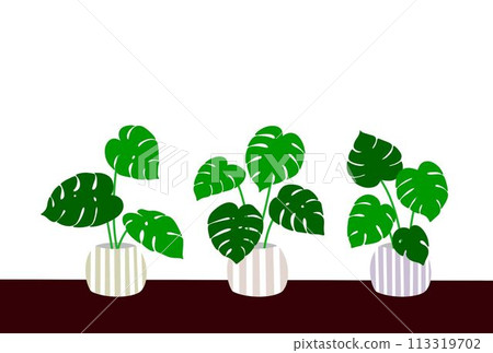 Potted Monstera Postcard 113319702