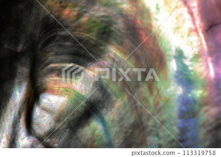 綠色藝術、多彩藝術 綠色藝術、多彩藝術 113319758