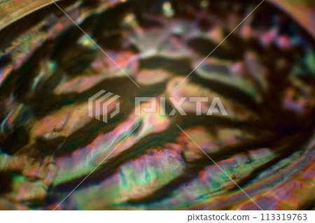 Green art, colorful art Green art, colorful art 113319763