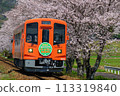 Nagara 600 series and cherry blossoms 113319840