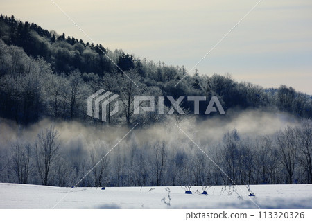 霧中的早晨 113320326