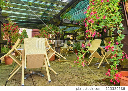 Abandoned outside terrace of restaurant. Little garden in restaurant. Garden style Abandoned outside terrace of restaurant. Little garden in restaurant. Garden style 113320386