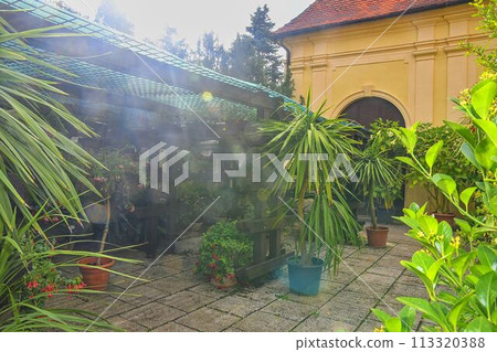 Little garden in restaurant. Garden style. Sun flare. 113320388