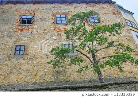 State castle Buchlov. The first building of the castle dates back to the 13th century. Region South Moravia, Czech Republic State castle Buchlov. The first building of the castle dates back to the 13th century. Region South Moravia, Czech Republic 113320389