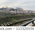 Cherry Blossoms	 113320556