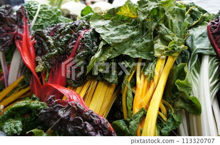 Swiss Chard Swiss Chard 113320707