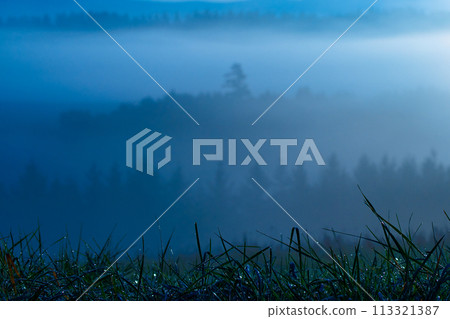 Morning fog Morning fog 113321387