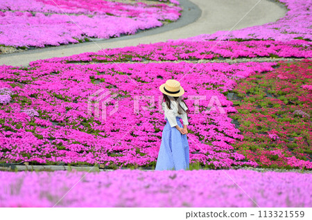 與粉紅苔蘚福祿考和女孩一起享受田園詩般的季節 113321559