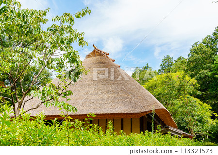 Old houses 113321573