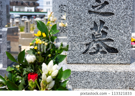 a visit to a grave a visit to a grave 113321833