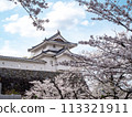 Castles and cherry blossoms 113321911