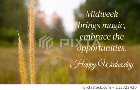 Midweek brings magic, embrace the opportunities. Happy Wednesday greetings Midweek brings magic, embrace the opportunities. Happy Wednesday greetings 113322420