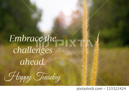 Embrace the challenges ahead. Happy Tuesday greetings Embrace the challenges ahead. Happy Tuesday greetings 113322424