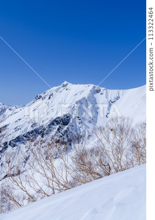 （群馬縣）嚴冬時谷川山、天神山的雪景 113322464