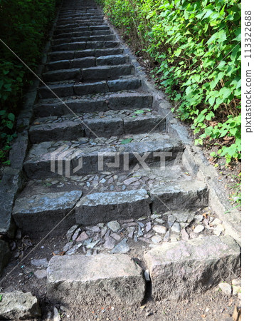 Concrete stairs in the jungle nature outdoor 113322688