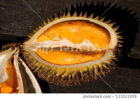 Closeup View of Opened Durian Fruit on an Old Slatted Boardwalk in Sarawak Borneo Malaysia 113322958