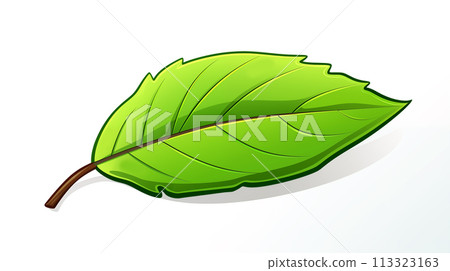 手绘卡通绿色的树叶元素插画素材 113323163