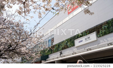 Sakura in front of Sengawa station 113323228