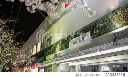 Sakura in front of Sengawa station 113323236