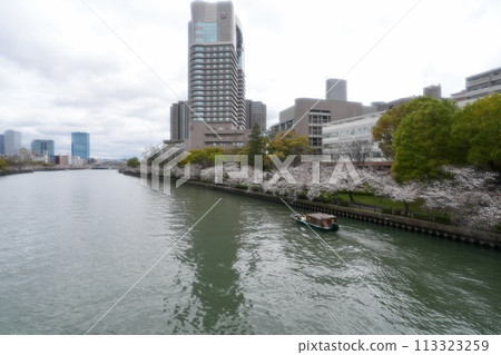 Cherry blossoms & river Cherry blossoms & river 113323259