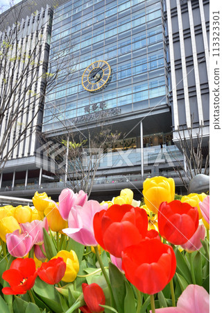 Spring in JR Hakata Station, Hakata Station Square, Tulips blooming in front of Hakata Station Spring in JR Hakata Station, Hakata Station Square, Tulips blooming in front of Hakata Station 113323301