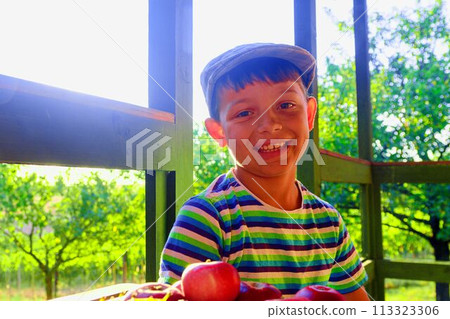 Little boy is wearing flat cap. Apples and grapes on a table. Smiling little boy is sitting at a table on a verandah and eating fresh apples and grapes. Dreamy and romantic image. Autumn and happy Little boy is wearing flat cap. Apples and grapes on a table. Smiling little boy is sitting at a table on a verandah and eating fresh apples and grapes. Dreamy and romantic image. Autumn and happy 113323306