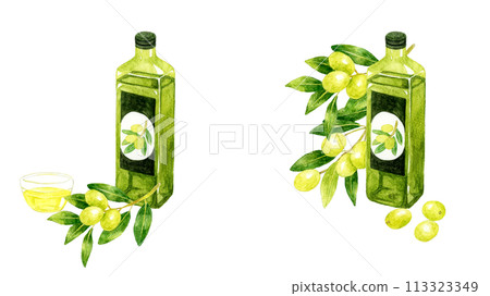 Set of olive oil in a bottle Hand-drawn watercolor illustration of cooking oil 113323349