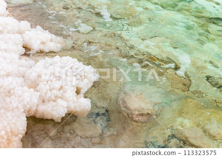 Deposits of mineral salts on the beach of the Dead Sea 113323575