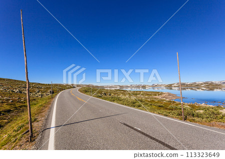 Road crossing Hardangervidda plateau, Norway 113323649