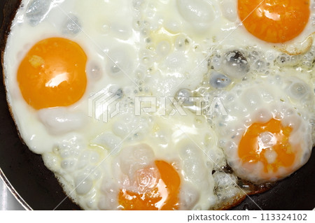 scramble eggs 113324102