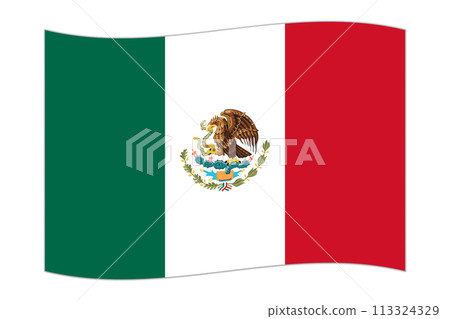 Waving flag of the country Mexico. Vector illustration. 113324329